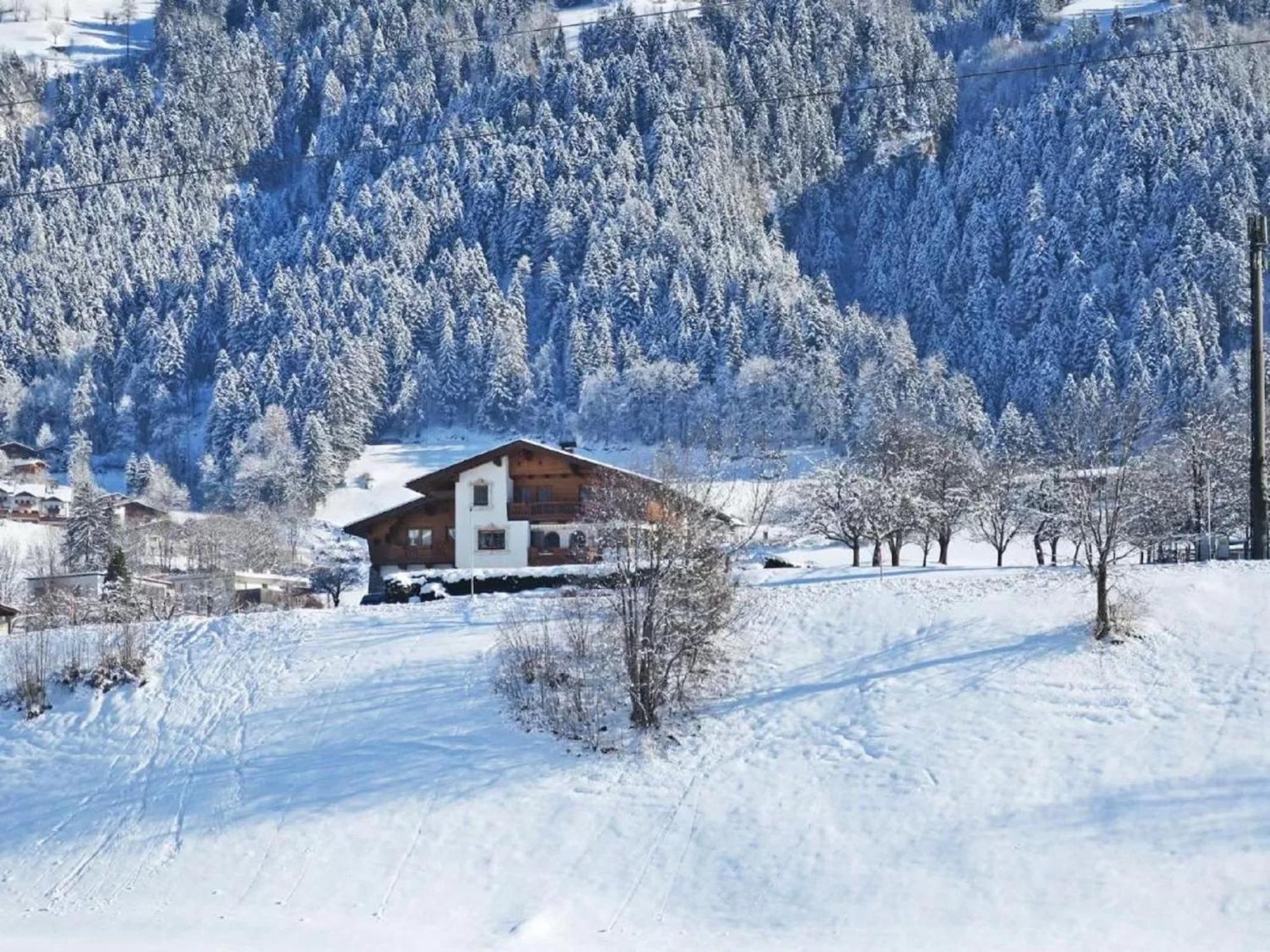 Apartment With Panoramic View Ramsau im Zillertal Eksteriør billede